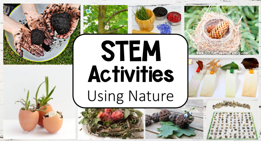 34 Best STEM Activities with Nature