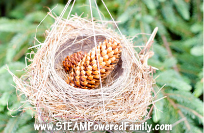 STEM activities with nature shows a bird best with pine cones in it.