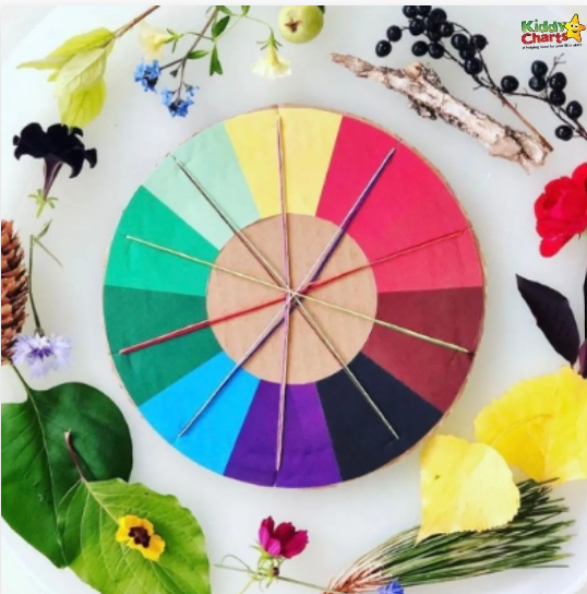 nature color wheel shows a color wheel with different items from nature for each color.