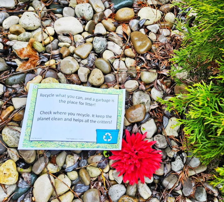 earth day scavenger hunt shows a riddle on stones beside a red flower.