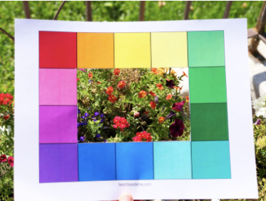 color scavenger hunt shows a rainbow of squares in nature.