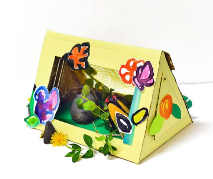 bug observation box shows a box made by a child for bugs.