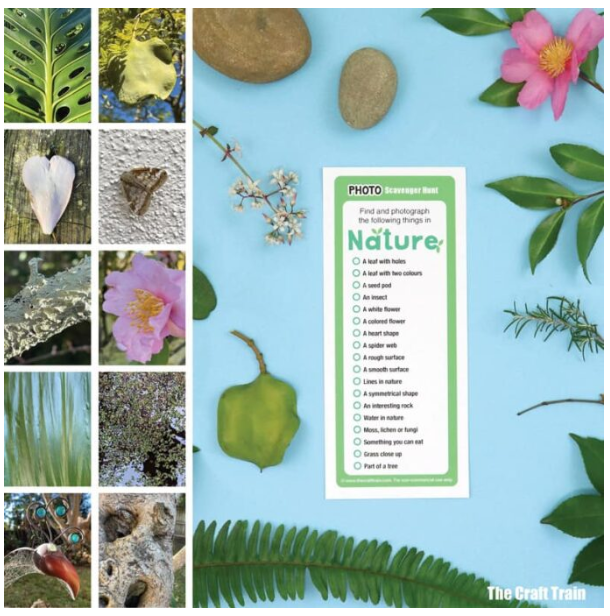 nature photo scavenger hunt shows photos of nature things and a printable list.